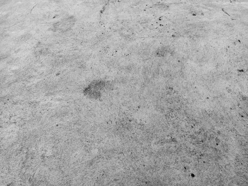 Increase Your Tree Trimming Business with an AI Driven, Targeted Website