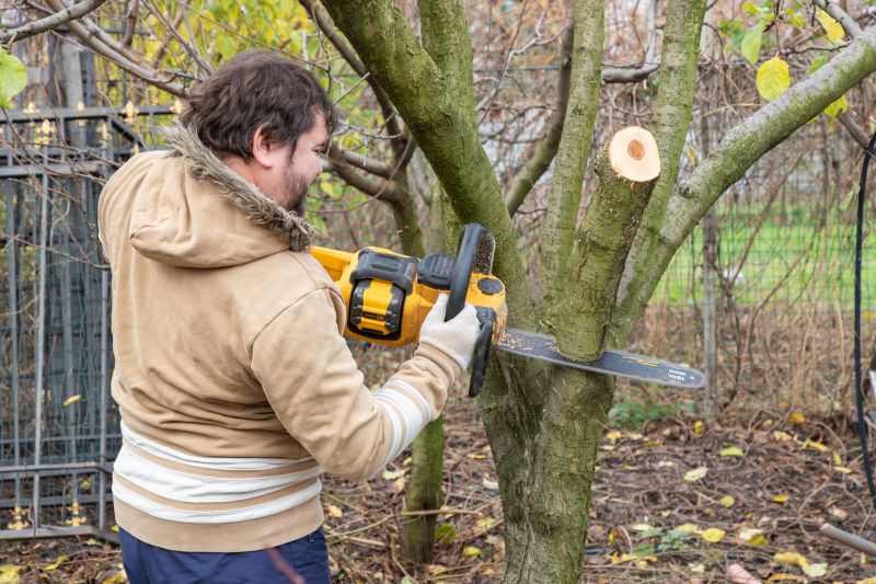 Tree Lopping Service detail